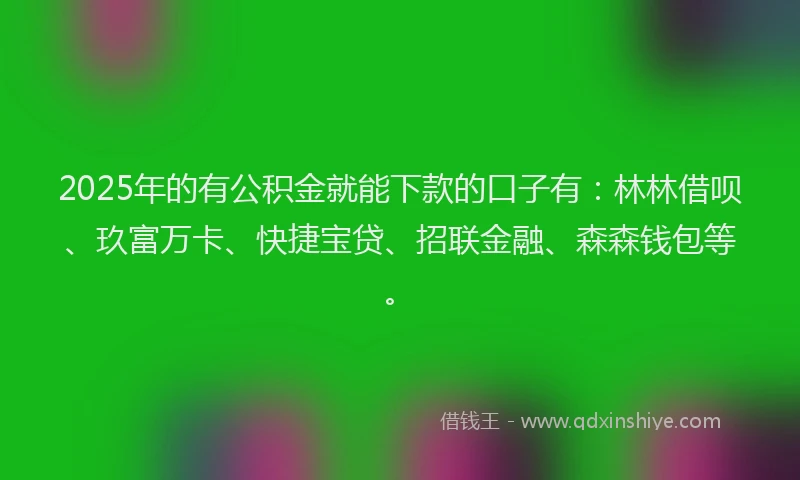 2025年的有公积金就能下款的口子有：林林借呗、玖富万卡、快捷宝贷、招联金融、森森钱包等。
