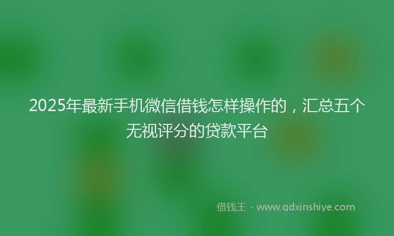 2025年最新手机微信借钱怎样操作的，汇总五个无视评分的贷款平台