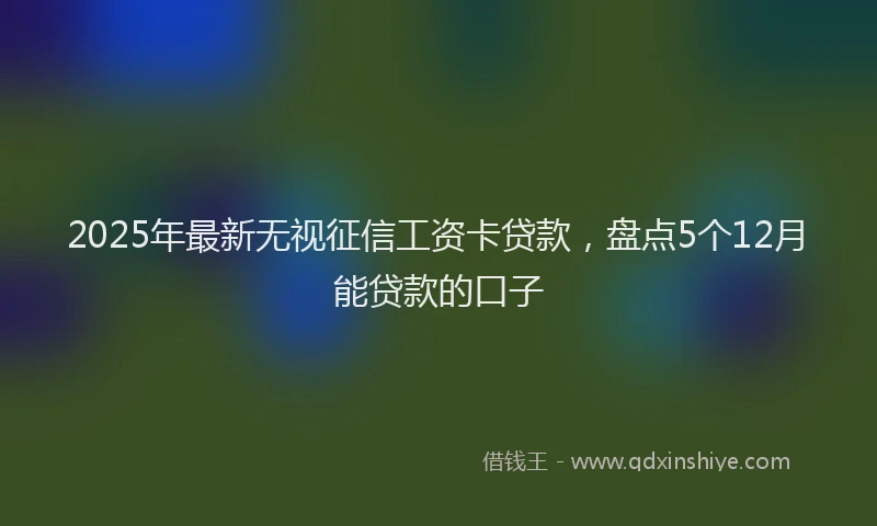 2025年最新无视征信工资卡贷款，盘点5个12月能贷款的口子