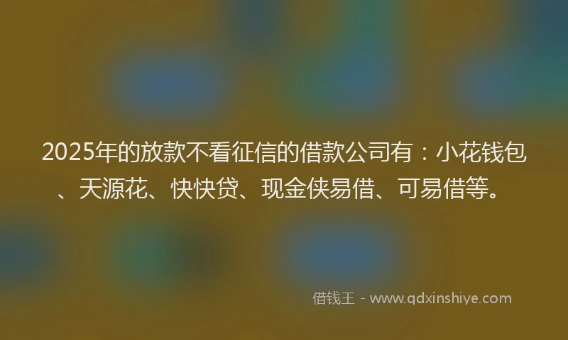 2025年的放款不看征信的借款公司有：小花钱包、天源花、快快贷、现金侠易借、可易借等。