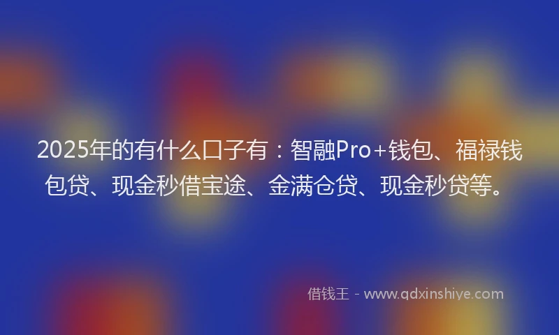 2025年的有什么口子有：智融Pro+钱包、福禄钱包贷、现金秒借宝途、金满仓贷、现金秒贷等。