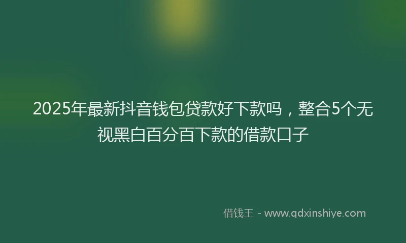 2025年最新抖音钱包贷款好下款吗，整合5个无视黑白百分百下款的借款口子