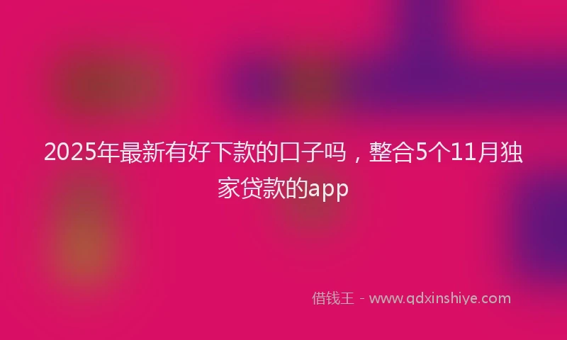 2025年最新有好下款的口子吗，整合5个11月独家贷款的app