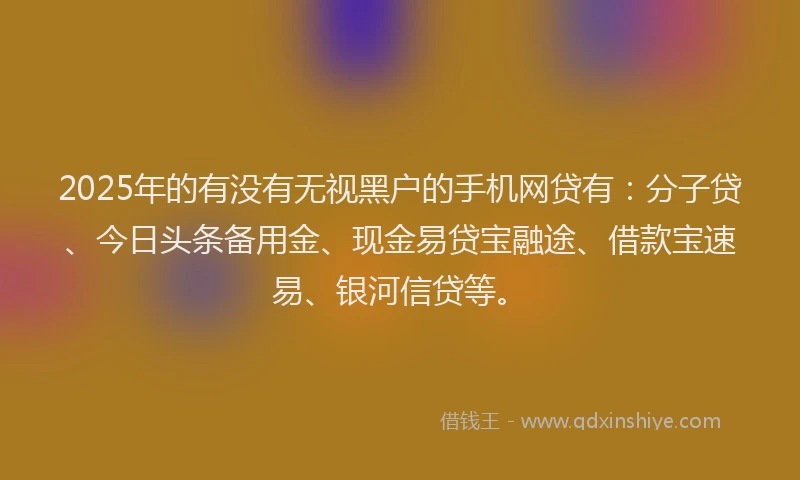 2025年的有没有无视黑户的手机网贷有：分子贷、今日头条备用金、现金易贷宝融途、借款宝速易、银河信贷等。
