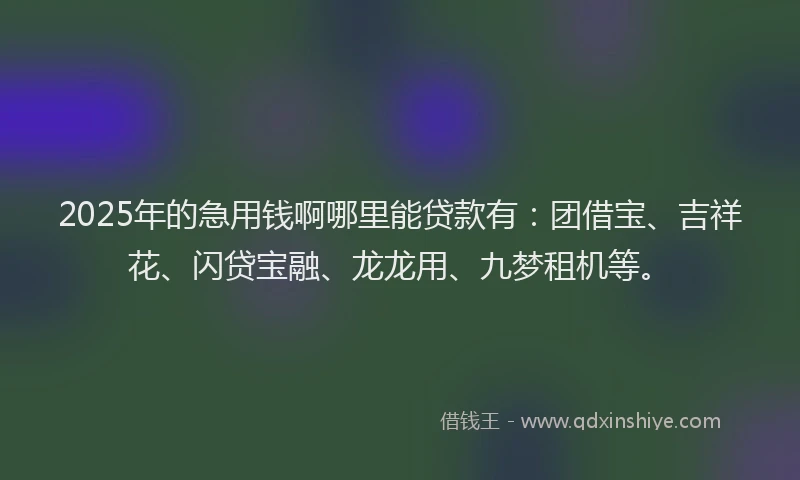2025年的急用钱啊哪里能贷款有：团借宝、吉祥花、闪贷宝融、龙龙用、九梦租机等。