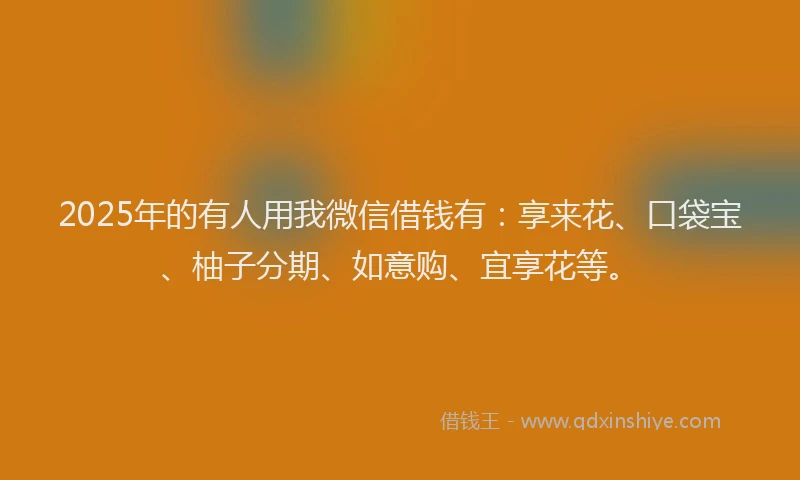 2025年的有人用我微信借钱有：享来花、口袋宝、柚子分期、如意购、宜享花等。