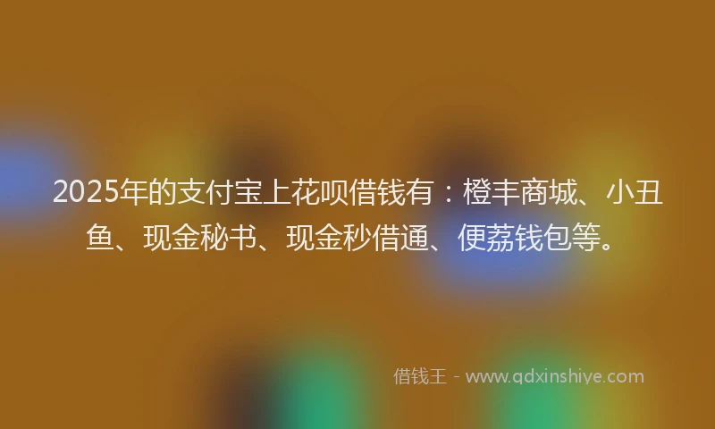 2025年的支付宝上花呗借钱有：橙丰商城、小丑鱼、现金秘书、现金秒借通、便荔钱包等。