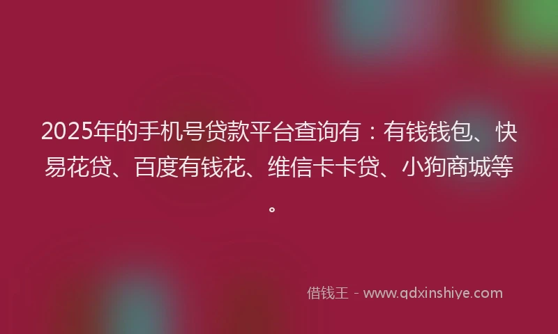 2025年的手机号贷款平台查询有：有钱钱包、快易花贷、百度有钱花、维信卡卡贷、小狗商城等。