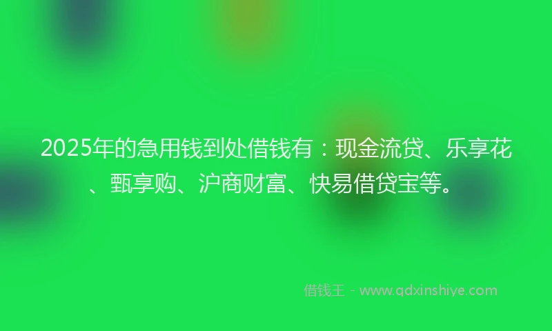 2025年的急用钱到处借钱有：现金流贷、乐享花、甄享购、沪商财富、快易借贷宝等。