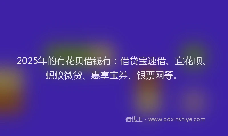 2025年的有花贝借钱有：借贷宝速借、宜花呗、蚂蚁微贷、惠享宝券、银票网等。