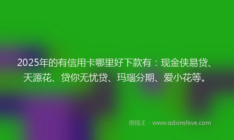 2025年的有信用卡哪里好下款有：现金侠易贷、天源花、贷你无忧贷、玛瑙分期、爱小花等。