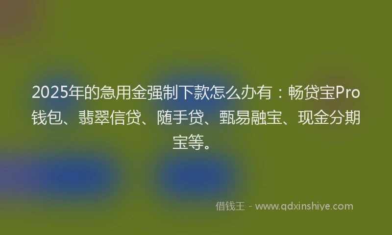 2025年的急用金强制下款怎么办有：畅贷宝Pro钱包、翡翠信贷、随手贷、甄易融宝、现金分期宝等。