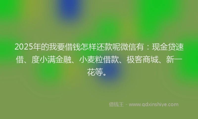 2025年的我要借钱怎样还款呢微信有：现金贷速借、度小满金融、小麦粒借款、极客商城、新一花等。