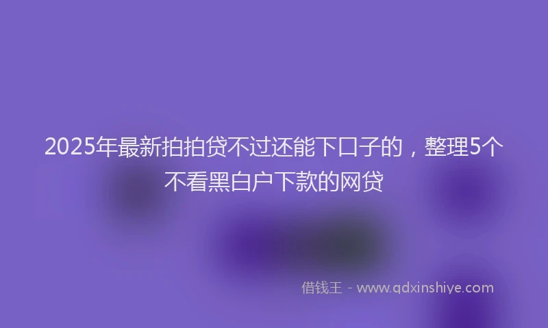2025年最新拍拍贷不过还能下口子的，整理5个不看黑白户下款的网贷