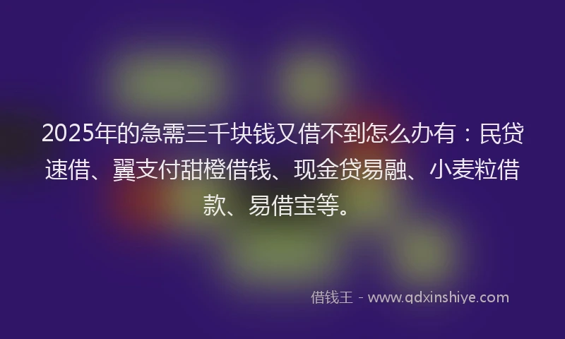 2025年的急需三千块钱又借不到怎么办有：民贷速借、翼支付甜橙借钱、现金贷易融、小麦粒借款、易借宝等。