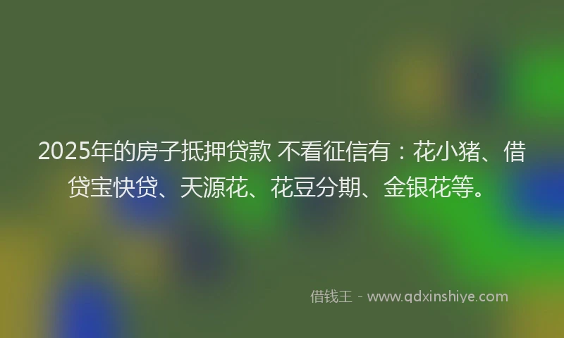 2025年的房子抵押贷款 不看征信有：花小猪、借贷宝快贷、天源花、花豆分期、金银花等。