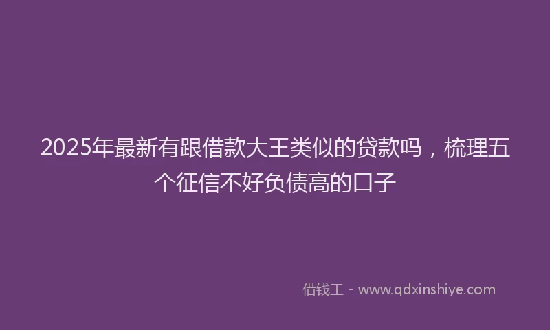 2025年最新有跟借款大王类似的贷款吗，梳理五个征信不好负债高的口子