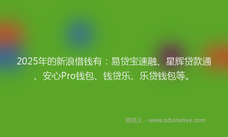 2025年的新浪借钱有：易贷宝速融、星辉贷款通、安心Pro钱包、钱贷乐、乐贷钱包等。