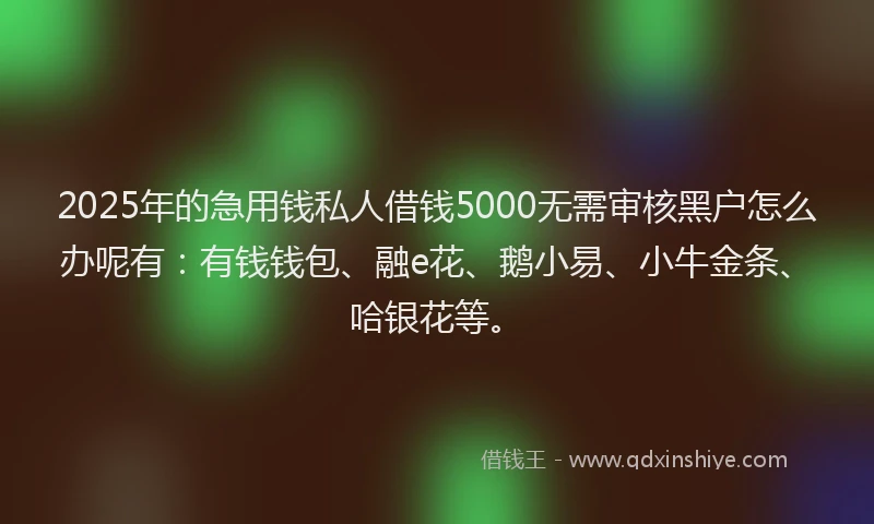2025年的急用钱私人借钱5000无需审核黑户怎么办呢有：有钱钱包、融e花、鹅小易、小牛金条、哈银花等。