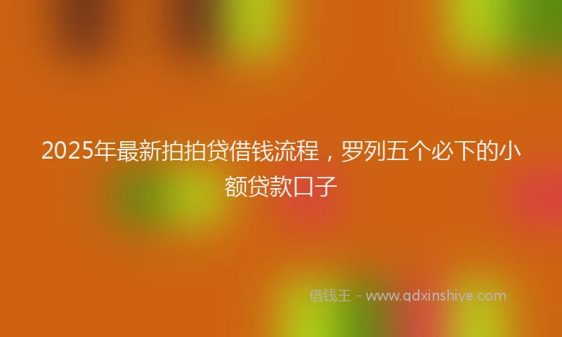 2025年最新拍拍贷借钱流程，罗列五个必下的小额贷款口子