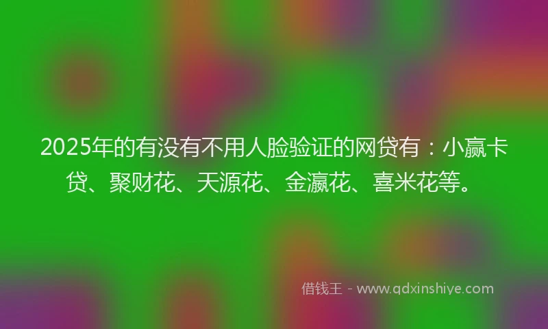 2025年的有没有不用人脸验证的网贷有：小赢卡贷、聚财花、天源花、金瀛花、喜米花等。