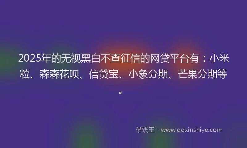 2025年的无视黑白不查征信的网贷平台有：小米粒、森森花呗、信贷宝、小象分期、芒果分期等。