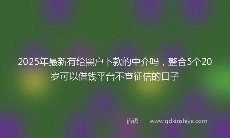 2025年最新有给黑户下款的中介吗，整合5个20岁可以借钱平台不查征信的口子