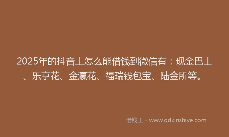 2025年的抖音上怎么能借钱到微信有：现金巴士、乐享花、金瀛花、福瑞钱包宝、陆金所等。