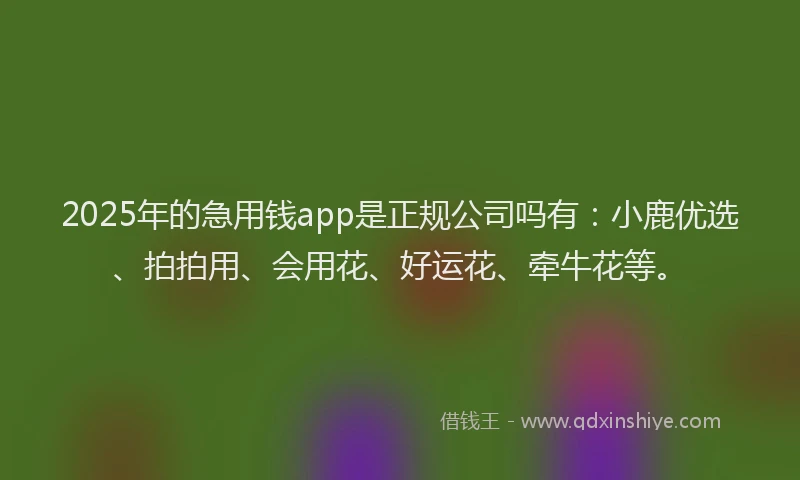 2025年的急用钱app是正规公司吗有：小鹿优选、拍拍用、会用花、好运花、牵牛花等。