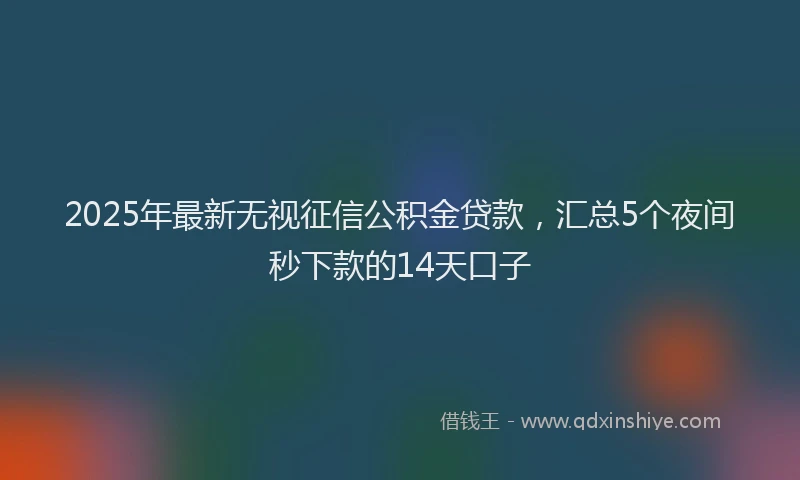 2025年最新无视征信公积金贷款，汇总5个夜间秒下款的14天口子
