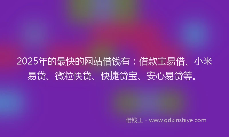 2025年的最快的网站借钱有：借款宝易借、小米易贷、微粒快贷、快捷贷宝、安心易贷等。