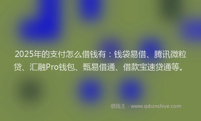2025年的支付怎么借钱有：钱袋易借、腾讯微粒贷、汇融Pro钱包、甄易借通、借款宝速贷通等。