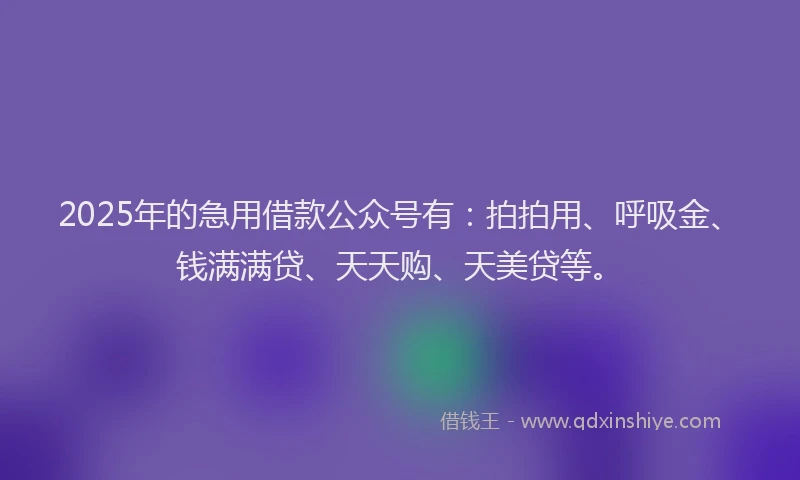 2025年的急用借款公众号有：拍拍用、呼吸金、钱满满贷、天天购、天美贷等。