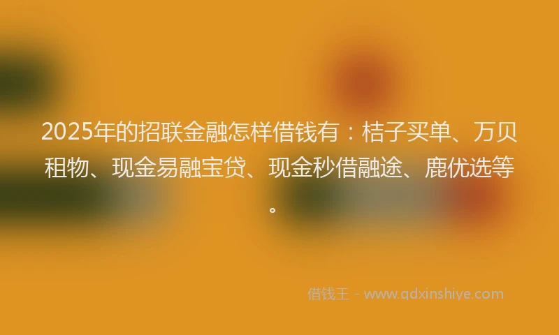 2025年的招联金融怎样借钱有：桔子买单、万贝租物、现金易融宝贷、现金秒借融途、鹿优选等。