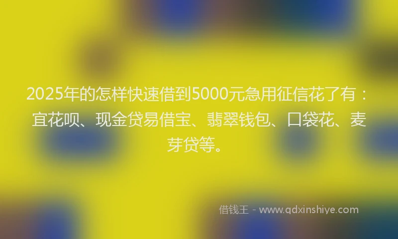 2025年的怎样快速借到5000元急用征信花了有：宜花呗、现金贷易借宝、翡翠钱包、口袋花、麦芽贷等。