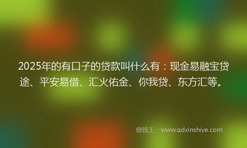 2025年的有口子的贷款叫什么有：现金易融宝贷途、平安易借、汇火佑金、你我贷、东方汇等。