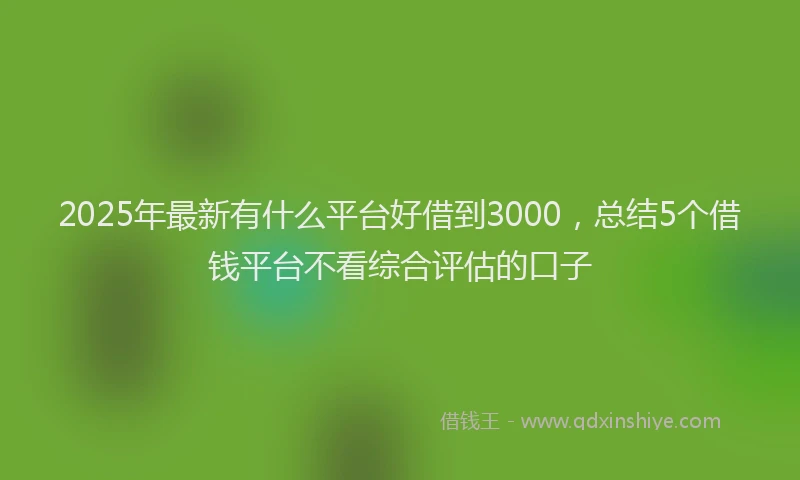2025年最新有什么平台好借到3000，总结5个借钱平台不看综合评估的口子
