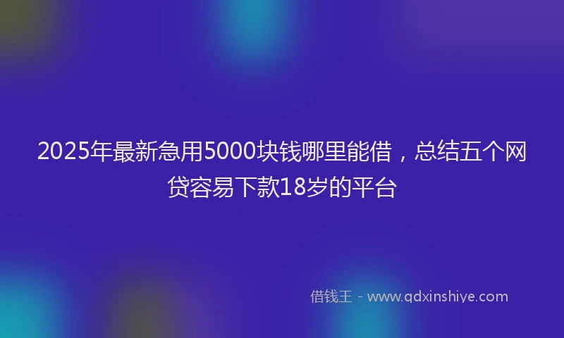 2025年最新急用5000块钱哪里能借，总结五个网贷容易下款18岁的平台