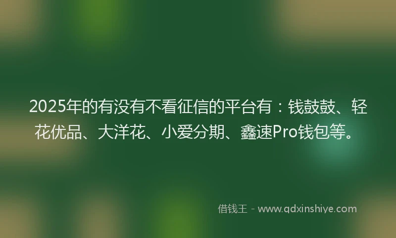 2025年的有没有不看征信的平台有：钱鼓鼓、轻花优品、大洋花、小爱分期、鑫速Pro钱包等。