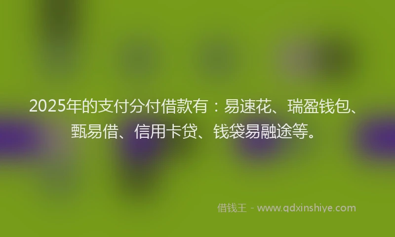 2025年的支付分付借款有：易速花、瑞盈钱包、甄易借、信用卡贷、钱袋易融途等。