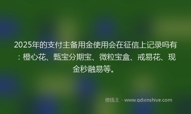 2025年的支付主备用金使用会在征信上记录吗有：橙心花、甄宝分期宝、微粒宝盒、戒易花、现金秒融易等。