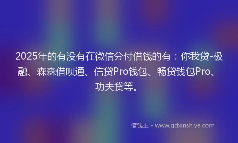 2025年的有没有在微信分付借钱的有：你我贷-极融、森森借呗通、信贷Pro钱包、畅贷钱包Pro、功夫贷等。