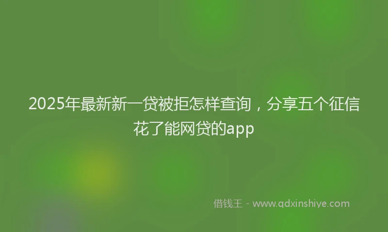 2025年最新新一贷被拒怎样查询，分享五个征信花了能网贷的app