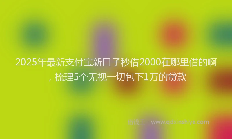 2025年最新支付宝新口子秒借2000在哪里借的啊，梳理5个无视一切包下1万的贷款