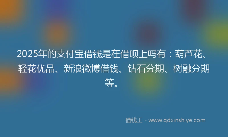 2025年的支付宝借钱是在借呗上吗有：葫芦花、轻花优品、新浪微博借钱、钻石分期、树融分期等。