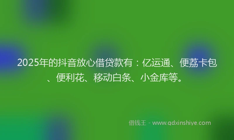 2025年的抖音放心借贷款有：亿运通、便荔卡包、便利花、移动白条、小金库等。
