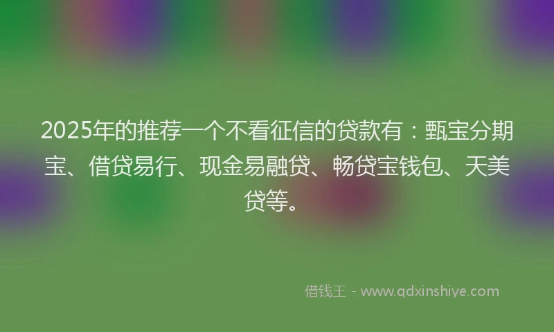 2025年的推荐一个不看征信的贷款有：甄宝分期宝、借贷易行、现金易融贷、畅贷宝钱包、天美贷等。