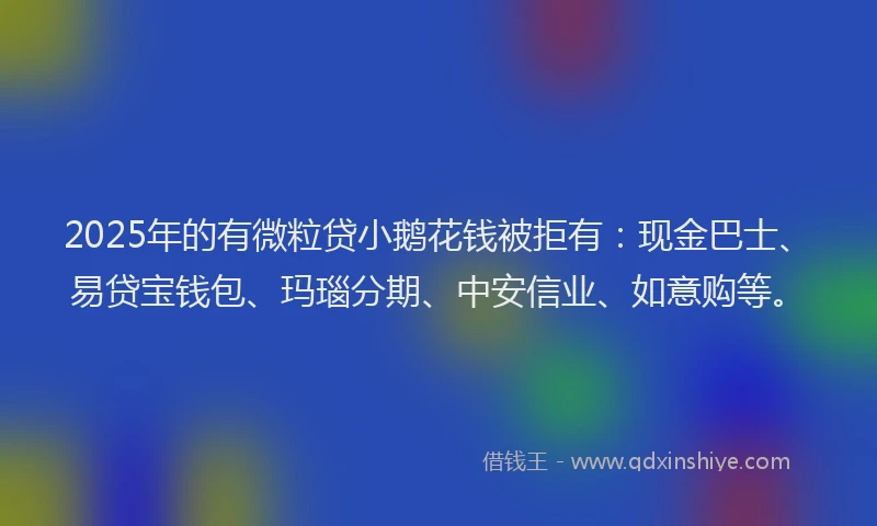 2025年的有微粒贷小鹅花钱被拒有：现金巴士、易贷宝钱包、玛瑙分期、中安信业、如意购等。