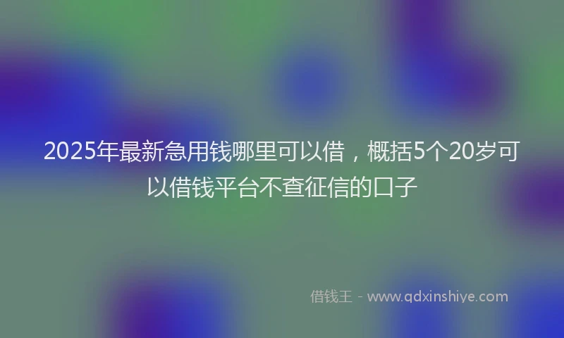 2025年最新急用钱哪里可以借，概括5个20岁可以借钱平台不查征信的口子