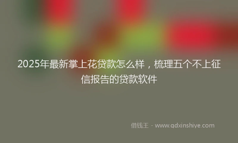 2025年最新掌上花贷款怎么样，梳理五个不上征信报告的贷款软件